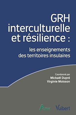 Télécharger le livre :  GRH interculturelle et résilience