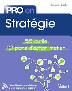 Télécharger le livre :  Pro en Stratégie