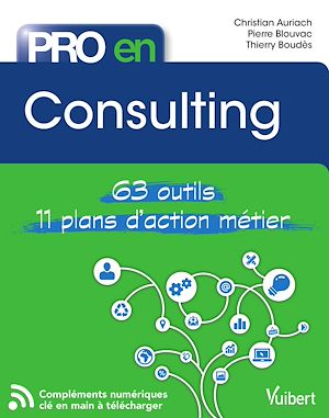 PRO EN CONSULTING