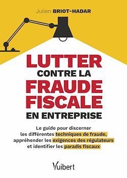 Télécharger le livre :  Lutter contre la fraude fiscale en entreprise