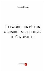 Download this eBook La balade d'un pèlerin agnostique sur le chemin de Compostelle