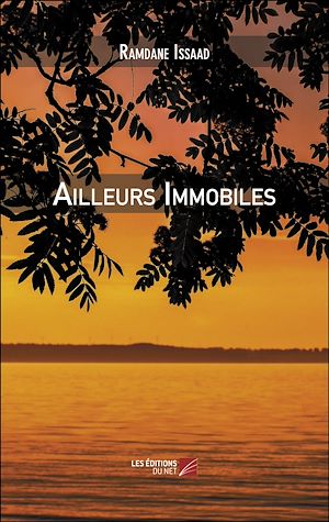 Téléchargez le livre :  Ailleurs Immobiles