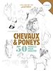 Télécharger le livre :  Chevaux & poneys