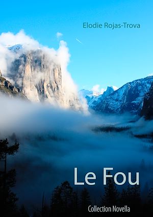Téléchargez le livre :  Le Fou