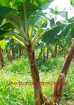 Télécharger le livre :  Une bonne conscience