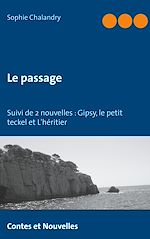 Télécharger le livre :  Le passage suivi de 2 nouvelles