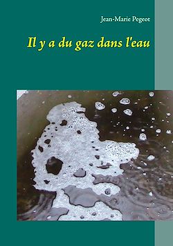 Télécharger le livre :  Il y a du gaz dans l'eau
