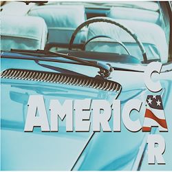 Télécharger le livre :  America car