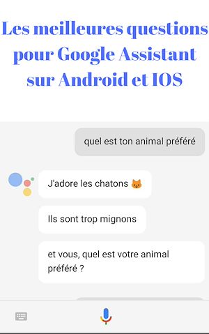 Téléchargez le livre :  Les meilleures questions pour google assistant sur android et IOS