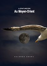Télécharger le livre :  Il était une fois au Moyen-Orient