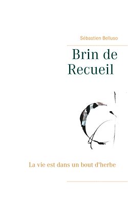 Télécharger le livre :  Brin de Recueil