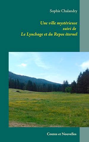 Téléchargez le livre :  Une ville mystérieuse