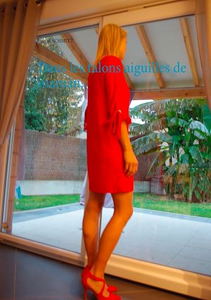 Téléchargez le livre :  Dans les talons aiguilles de maman.