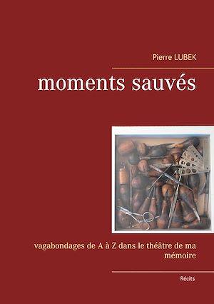 Téléchargez le livre :  Moments sauvés