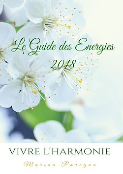 Télécharger le livre :  Le Guide des Energies 2018
