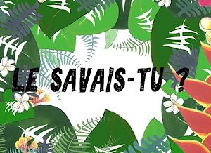 Téléchargez le livre :  Le savais-tu?