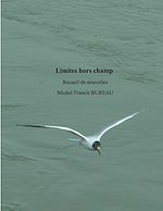 Télécharger le livre :  Limites hors champ
