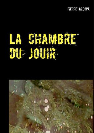 Téléchargez le livre :  La chambre du jouir