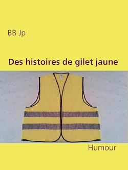 Télécharger le livre :  Des histoires de gilet jaune