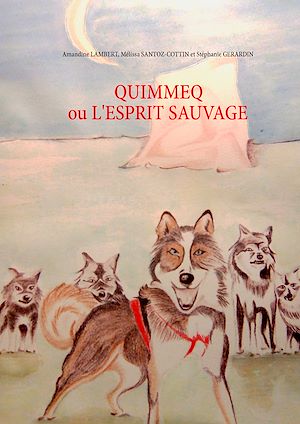 Téléchargez le livre :  Quimmeq ou l'esprit sauvage