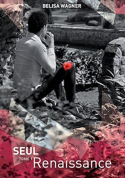 Télécharger le livre :  Seul : renaissance
