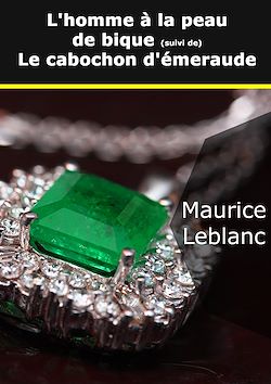 Télécharger le livre :  L'homme à la peau de bique