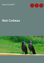 Télécharger le livre :  Noir Corbeau