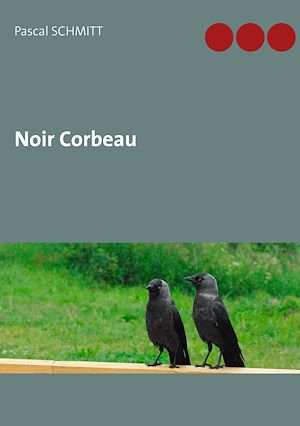 Téléchargez le livre :  Noir Corbeau