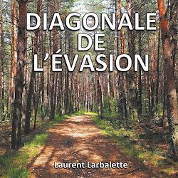 Télécharger le livre :  Diagonale de l'évasion