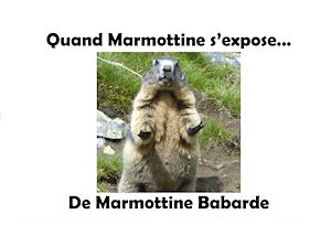 Download the eBook: Quand Marmottine s'expose