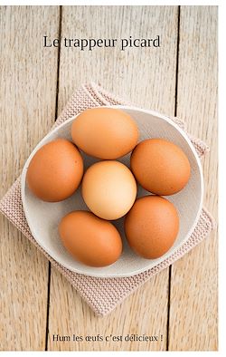 Télécharger le livre :  Le trappeur picard