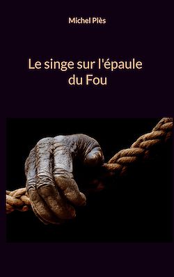 Télécharger le livre :  Le singe sur l'épaule du Fou