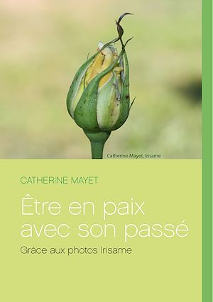 Téléchargez le livre :  Être en paix avec son passé