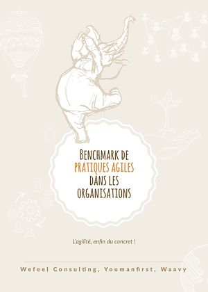Téléchargez le livre :  Benchmark de pratiques agiles dans les organisations