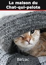 Télécharger le livre :  La maison du Chat-qui-pelote