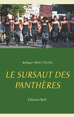 Télécharger le livre :  Le sursaut des panthères