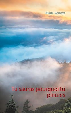 Télécharger le livre :  Tu sauras pourquoi tu pleures