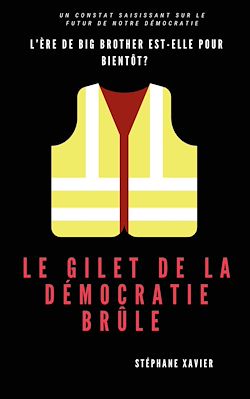 Télécharger le livre :  Le gilet de la démocratie brûle