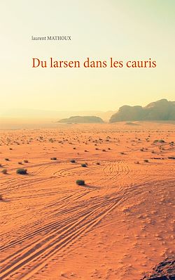 Télécharger le livre :  Du larsen dans les cauris
