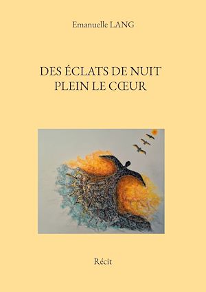 Téléchargez le livre :  Des éclats de nuit plein le coeur