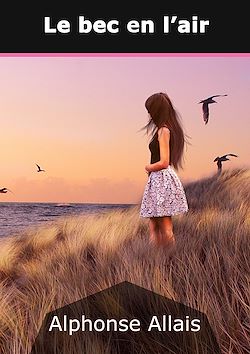 Télécharger le livre :  Le bec en l'air