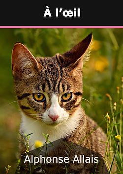 Télécharger le livre :  À l'oeil
