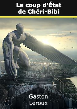 Télécharger le livre :  Le coup d'État de Chéri-Bibi