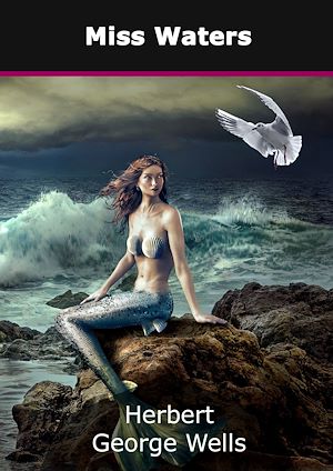 Téléchargez le livre :  Miss Waters
