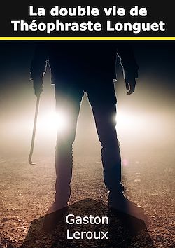 Télécharger le livre :  La double vie de Théophraste Longuet