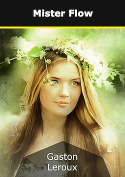 Télécharger le livre :  Mister Flow