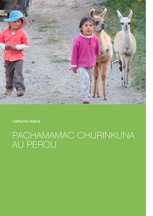 Téléchargez le livre :  Pachamamac Churinkuna au Perou