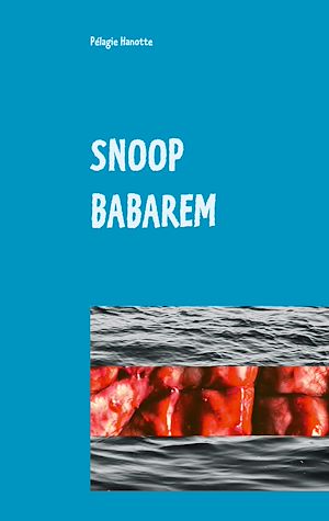Téléchargez le livre :  Snoop Babarem