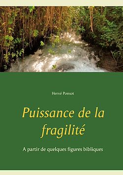 Télécharger le livre :  Puissance de la fragilité