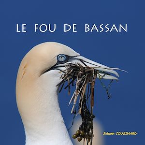 Téléchargez le livre :  Le fou de Bassan